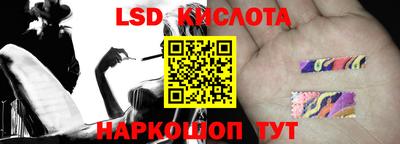 индика Сосновоборск