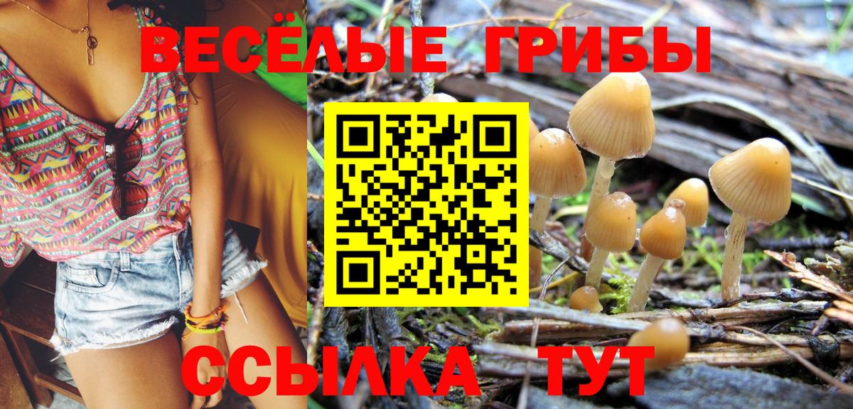 Мефедрон кристаллы  Гудермес  Каннабис  ЭКСТАЗИ  COCAIN  Конопля  Вход с VPN  MDMA  Гашиш 